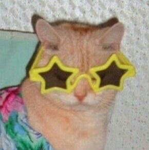 Mello